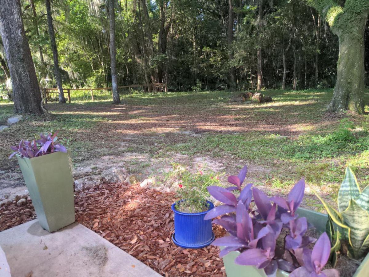 Micanopy Countyline Cottages Exterior photo